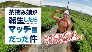 【筋肉 × 茶畑 × 360度カメラ】茶畑のマッチョ！＠マッチョフリー素材「マッスルプラス」