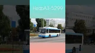 Автобусы Белгорода