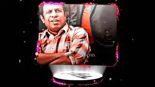 Pasha Vai 🔥 Attitude Dialoug🥀 Bachelor Point 