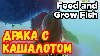 Рыбы МЕГАЛОДОН и ПРОГНАТОДОН, драка с КАШАЛОТОМ игра Feed and Grow Fish