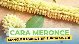 cara meronce bunga