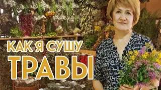 КАК Я СУШУ ТРАВЫ