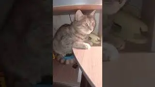 ❤️🥰#милота
