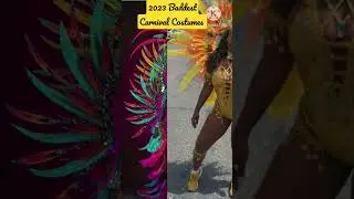 🔥💯2023 Baddest Carnival Costumes #viral #shorts
