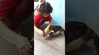 BARU BANGUN TIDUR NAIFA MAIN SAMA KUCING