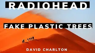 Fake Plastic Trees Cover | Radiohead | David Charlton | Funny Ending!