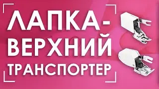 🏆 Легендарный ВЕРХНИЙ ТРАНСПОРТЕР или ШАГАЮЩАЯ ЛАПКА | Лапки AURORA (Аврора) AU-118 и AU-134