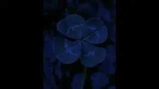 [FREE] AMBIENT PHONK TYPE BEAT - 