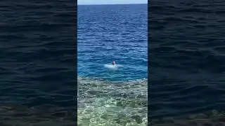 Эх, Лёха 🫣
