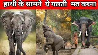 हाथी के सामने ये गलती मत करना।Don't make this mistake in front of an elephant।#shorts
