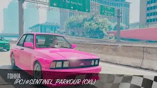 Santinel skill test веселой компанией