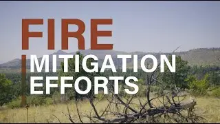 Fire mitigation efforts at Los Alamos National Laboratory