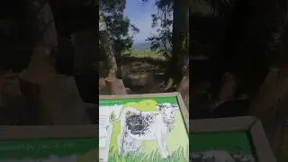 🇨🇵💟Вогезы // Франция 🐄🏔️