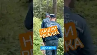 Спасатели нашли в лесу потерявшегося ребенка в Докшицком районе 
