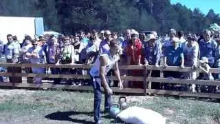 Силовые ИГРЫ 