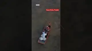 Drone visuals show extent of flooding in Punjab and Delhi | BBC News India
