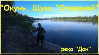 "Окунь, Щука, Отводной", река "Дон".