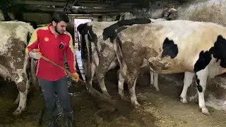 NEW STABLE WORKS / DAILY WORKS 49