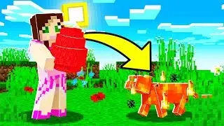 Minecraft: WIZARD SIMULATOR! (USE MAGIC & GET PETS!) Modded Mini-Game