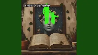 I Wasn't in the Memory