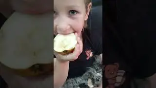 кит