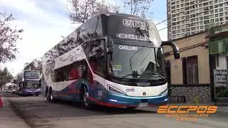 Modasa Zeus 5 / Volvo / Eme Bus