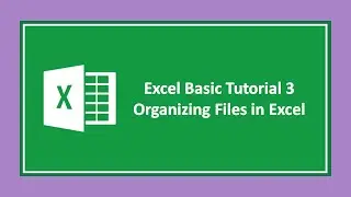 Excel Tutorial | Organize File | Rename Sheet | Give Tab Color