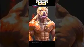 Respect 🔥😎🤯🤯 