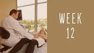 12 Weeks Pregnant - Pregnancy Week by Week
