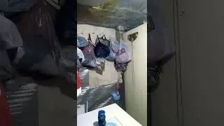 смотрите
