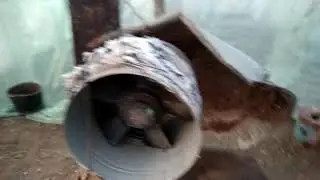 Обогрев лука в балагане при -9.Как живут луковые бароны😁