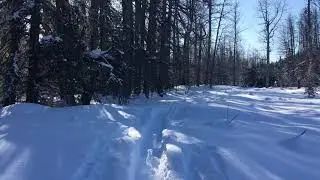 AMSR squeaky snow ski