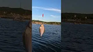 КАМБАЛА ЕРЩ НА СПИННИНГ