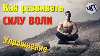 Как развить и укрепить силу воли || Как перестать отвлекаться || Медитация для развития мозга