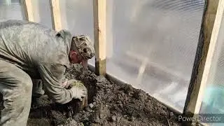 Что вырастет,ТО и будет 🤨 Деревенские хлопоты