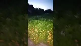 Красивый сад в Мглине #shorts