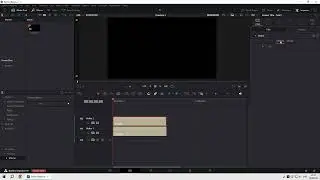 DaVinci Resolve 19.0b3 Bugs | Disappearing Button