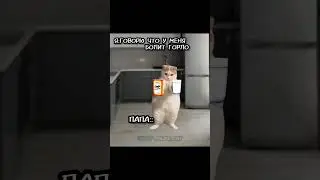 жиза?😂 #capcut #cat #funny #inshot #memes #хочуврек #cute #юмор #кот