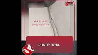 #penampakan