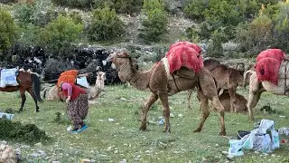 Toroslarda Develerle Yörük göçü 🌿🐫🌿