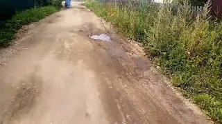 #дача #лето
