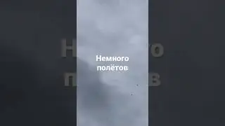 31 мая 2022 г.