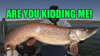 Chasing a GIANT PIKE! | Early Fall Fishing