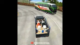 Sapi kurban gagal nanjak. Ganjel !!! 😂 