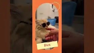 #diva