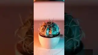 Садоводство