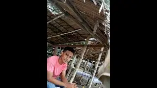 Aksi Gadis liar dengan skill dewa