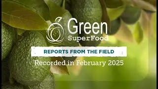 Green SuperFood 
