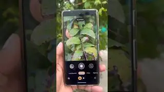 iPhone 14 vs Pixel 7 Pro Camera Test🔥2024#iphone #shorts