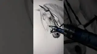 Amazing White Horse Drawing | Realistic Pencil Draw #shorts #art #animals #portrait
